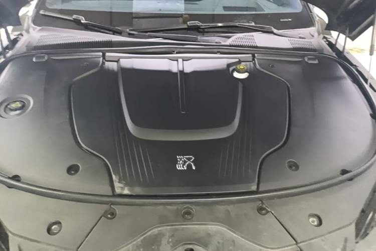 Used BYD Han 2022 EV 610 km All-Wheel-Drive Qianshan Cui Limited Edition Engine Bay