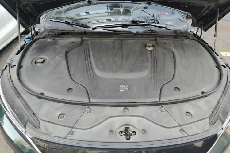 Used BYD Han 2022 EV 610 km All-Wheel-Drive Qianshan Cui Limited Edition Engine Bay