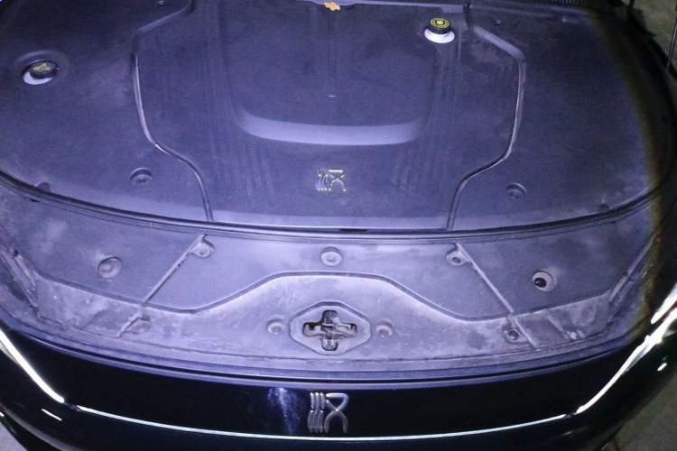 Used BYD Han 2022 EV 610 km All-Wheel-Drive Qianshan Cui Limited Edition Engine Bay