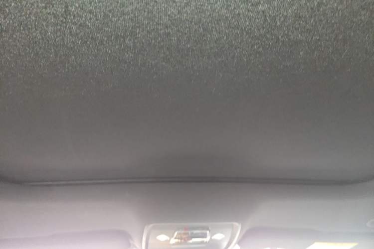 Used BYD Han 2022 DM-i 121KM Luxury Model Headliner