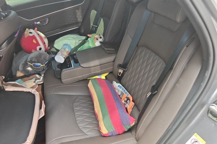 Used BYD Han 2022 DM-i 121KM Luxury Model Left Rear Seat