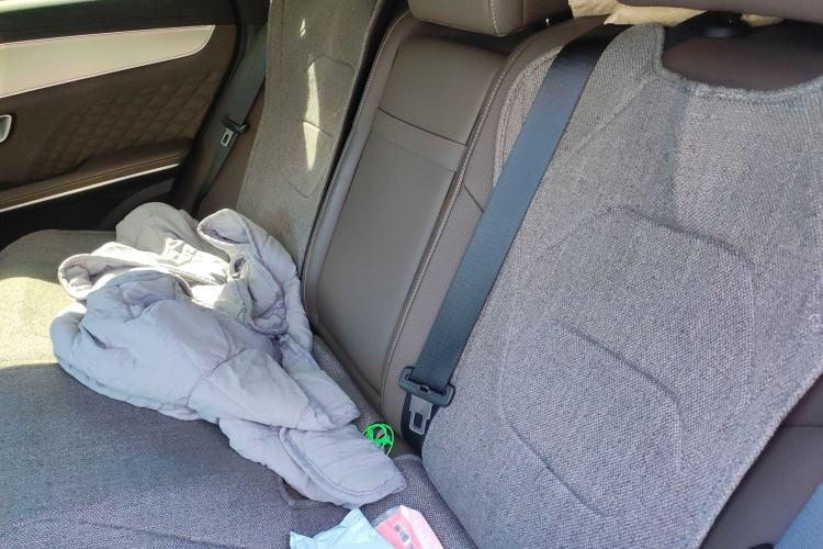 Used BYD Han 2022 DM-i 121KM Prestige Model Left Rear Seat