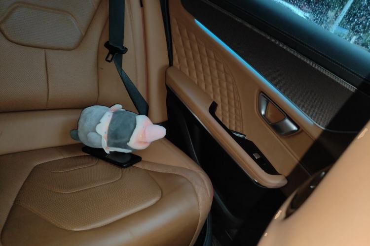 Used BYD Han 2022 DM-i 121KM Luxury Model Left Rear Seat