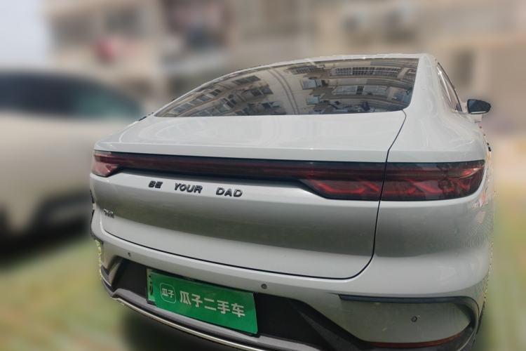 Used BYD Han 2022 DM-p 202km Four-Wheel Drive Flagship Model Rear
