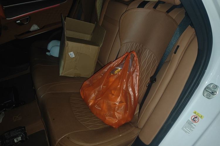 Used BYD Han 2022 DM-i 121KM Prestige Model Left Rear Seat