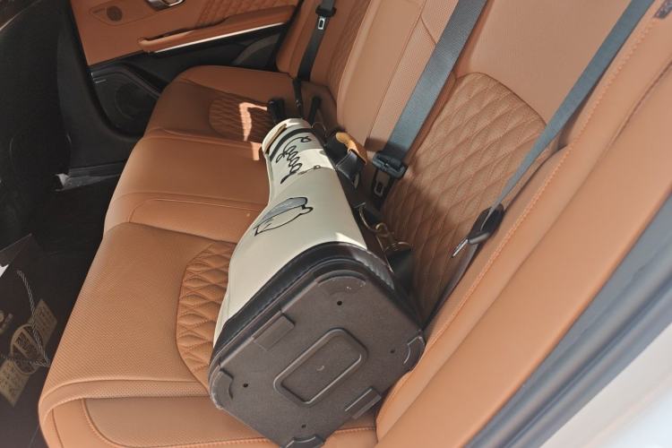 Used BYD Han 2022 DM-i 121KM Luxury Model Left Rear Seat