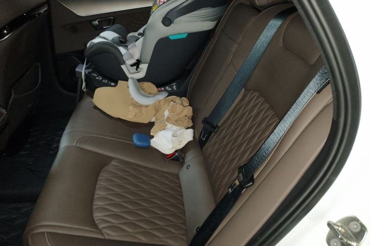 Used BYD Han 2022 DM-i 121KM Prestige Model Left Rear Seat