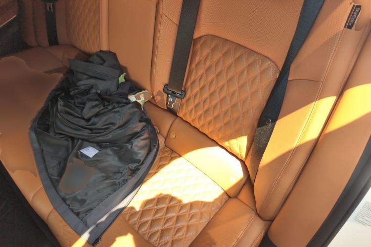 Used BYD Han 2022 DM-i 121KM Luxury Model Left Rear Seat