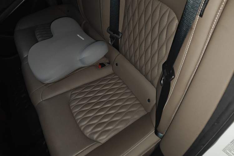Used BYD Han 2022 DM-i 121KM Luxury Model Left Rear Seat