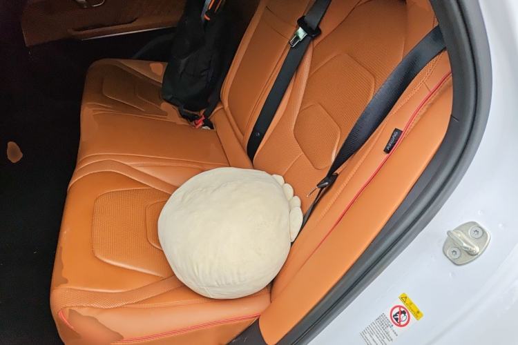 Used BYD Han 2022 DM-i 121KM Luxury Model Left Rear Seat
