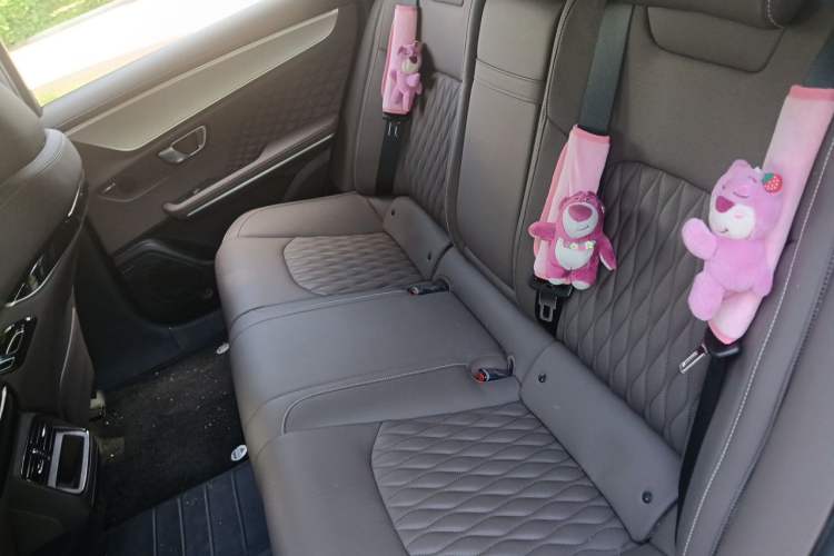 Used BYD Han 2023 DM-i Champion Edition 121KM Prestige Model Left Rear Seat