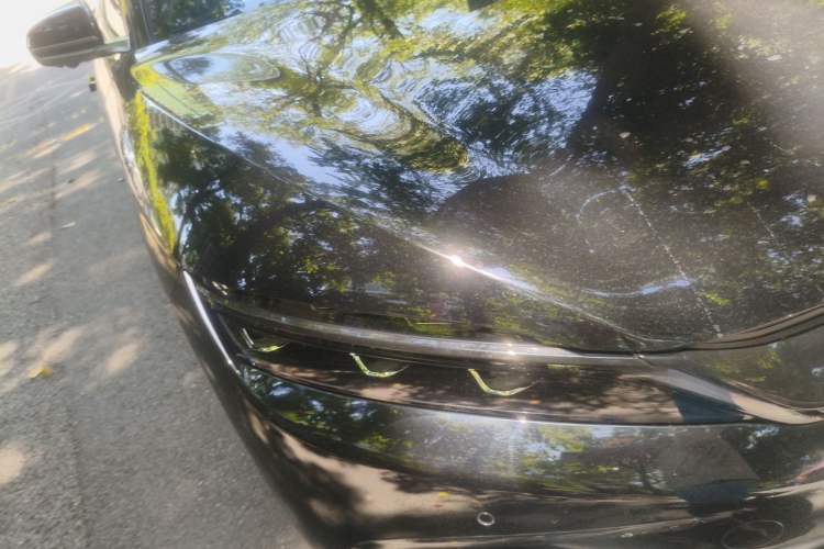 Used BYD Han 2023 EV Champion Edition 506KM Front-Wheel-Drive Premium Model Right Front Headlight