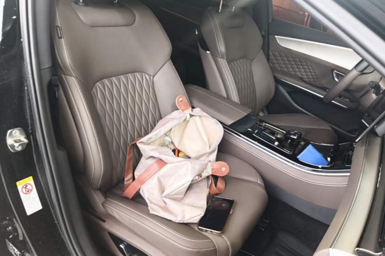 Used BYD Han 2023 DM-i Champion Edition 121KM Prestige Model Right Front Seat