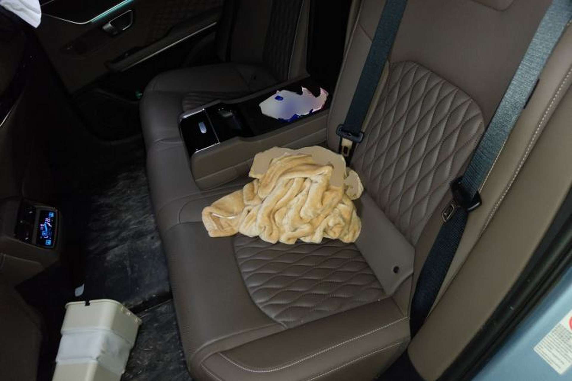 Used BYD Han 2023 DM-i Champion Edition 121KM Prestige Model Left Rear Seat