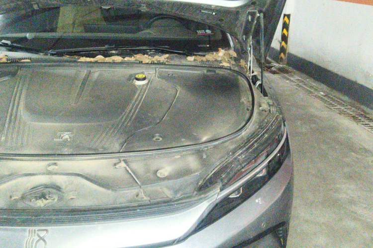 Used BYD Han 2023 EV Champion Edition 506KM Front-Wheel-Drive Premium Model Engine Bay Left