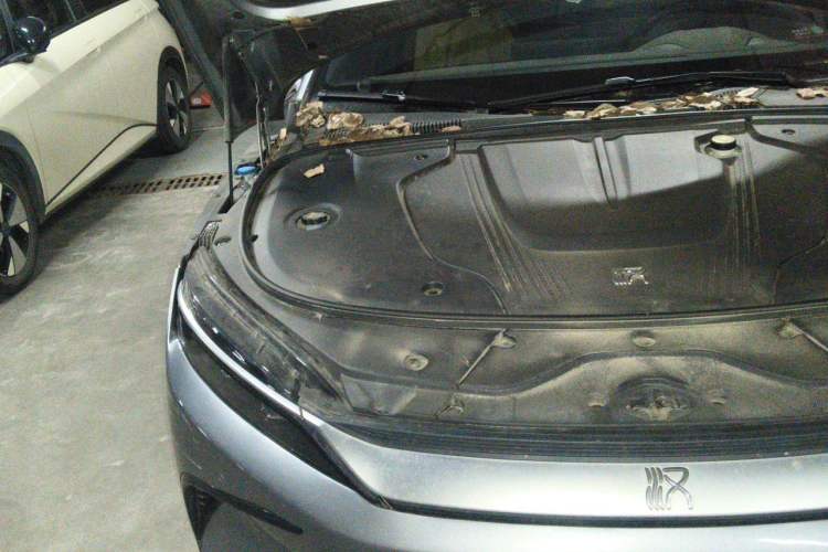 Used BYD Han 2023 EV Champion Edition 506KM Front-Wheel-Drive Premium Model Engine Bay Right