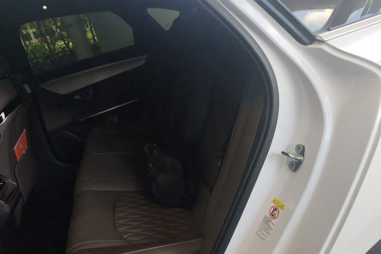 Used BYD Han 2023 DM-i Champion Edition 121KM Prestige Model Left Rear Seat