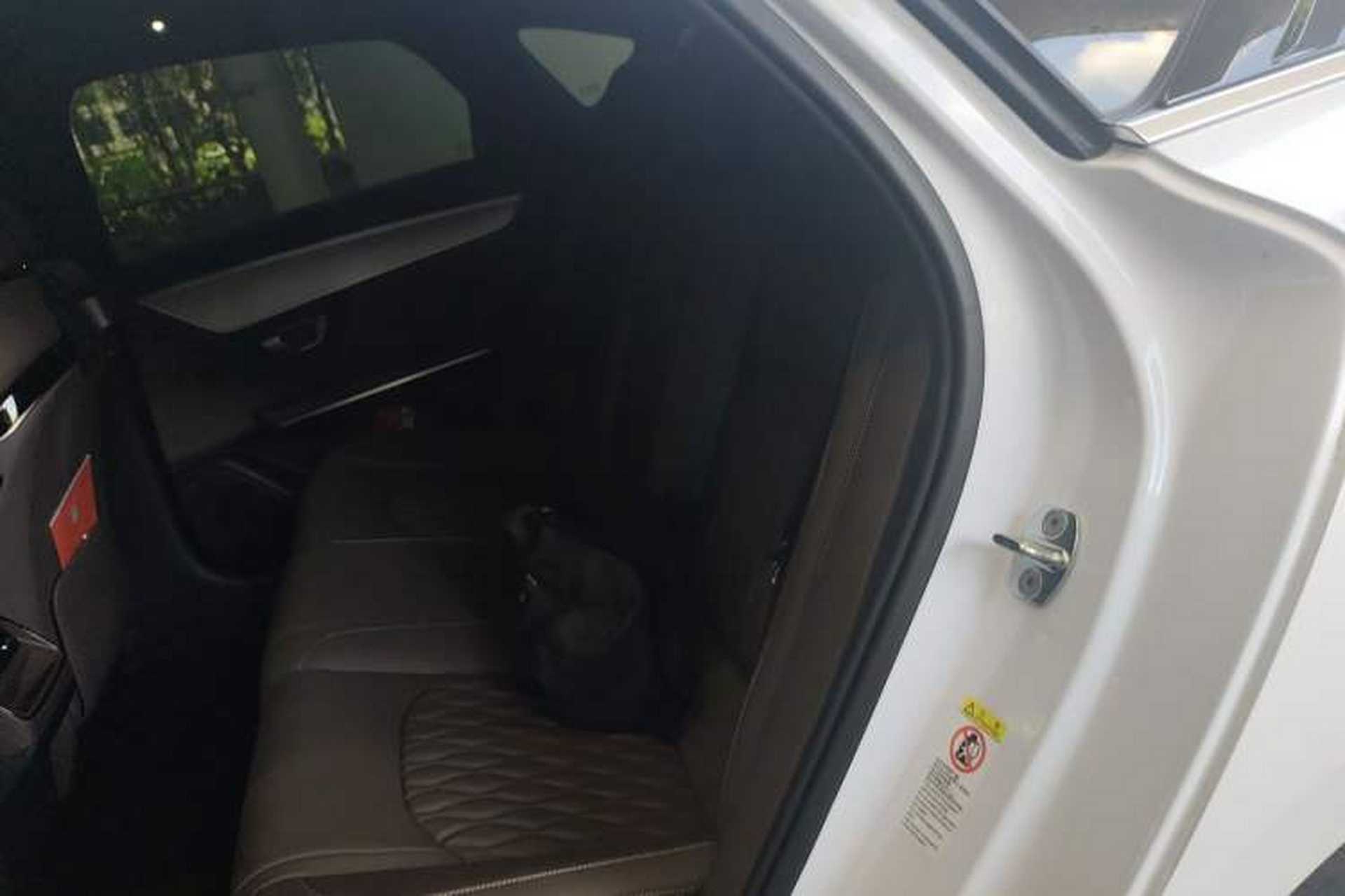 Used BYD Han 2023 DM-i Champion Edition 121KM Prestige Model Left Rear Seat