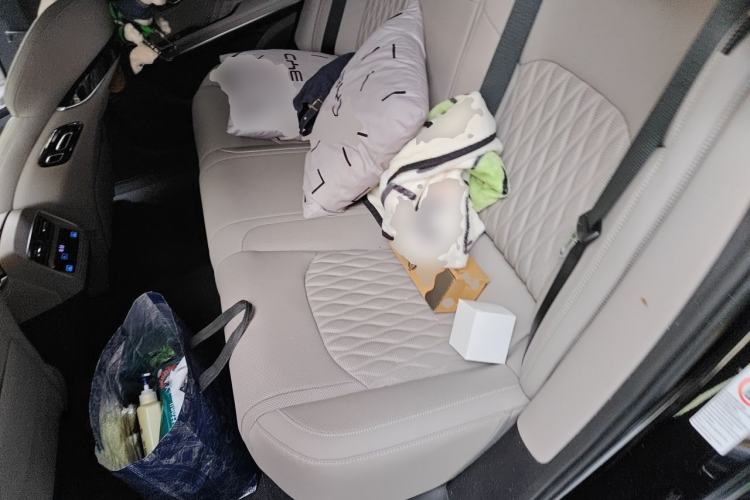 Used BYD Han 2024 DM-i Glory Edition 121KM Prestige Model Left Rear Seat
