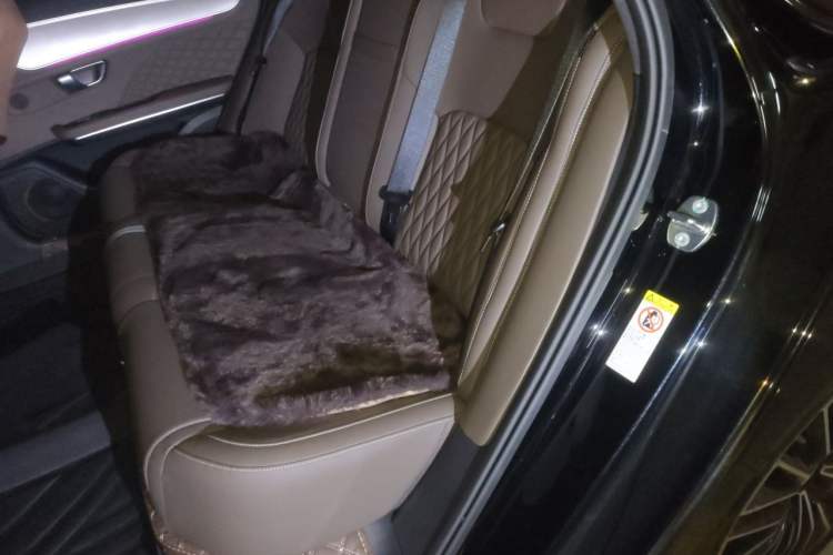 Used BYD Han 2024 DM-i Glory Edition 121KM Prestige Model Left Rear Seat