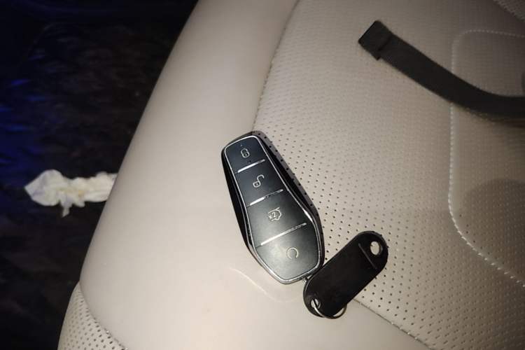 Used BYD Han 2024 EV Glory Edition 610 km All-Wheel Drive "Tian Shen Zhi Jia" Intelligent Driving Model Vehicle Key