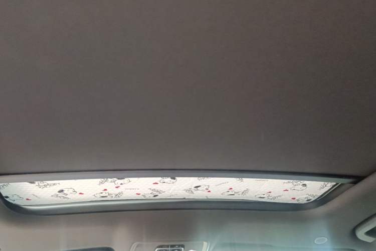 Used BYD Han 2024 EV Glory Edition 506KM Front-Wheel-Drive Premium Model Headliner