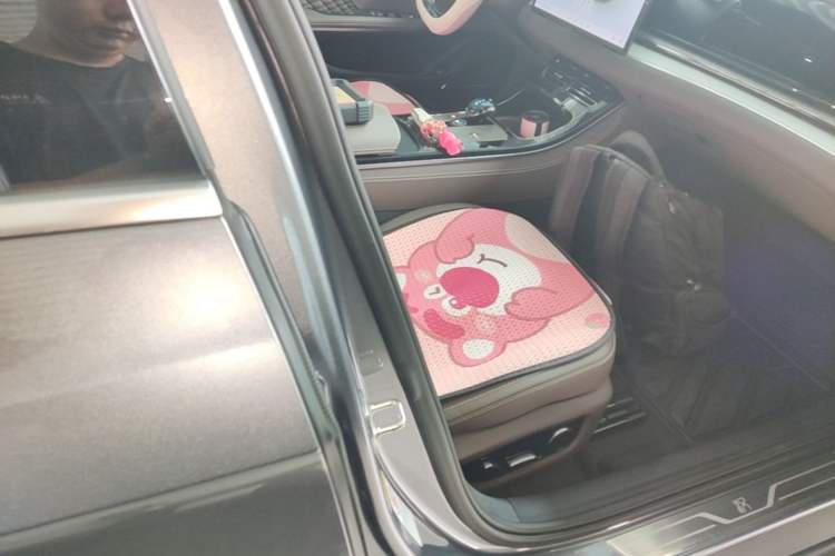 Used BYD Han 2024 DM-i Glory Edition 121KM Prestige Model Right Front Seat