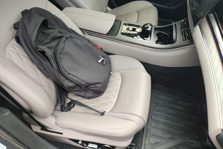 Used BYD Han 2024 DM-i Glory Edition 121KM Premium Model Right Front Seat