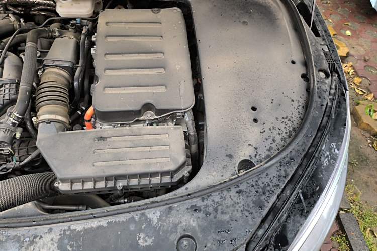 Used BYD Han 2025 DM-i 125KM Comfort Model Engine Bay Left