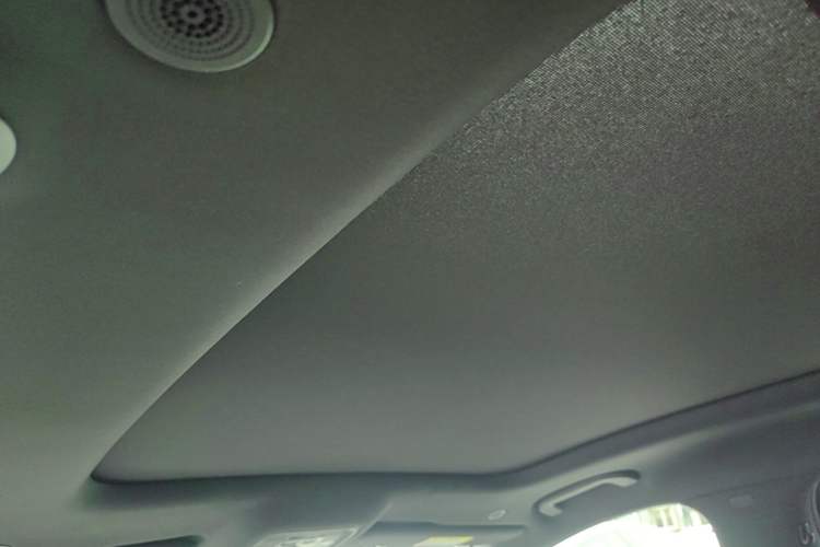 Used BYD Han  Headliner