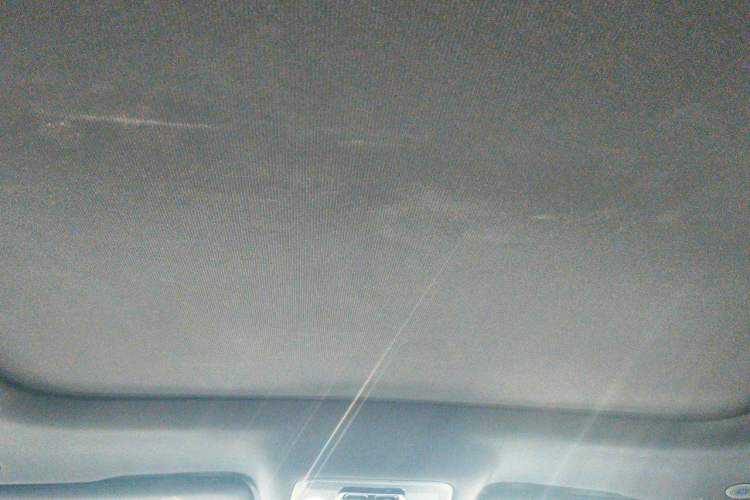 Used BYD Han  Headliner