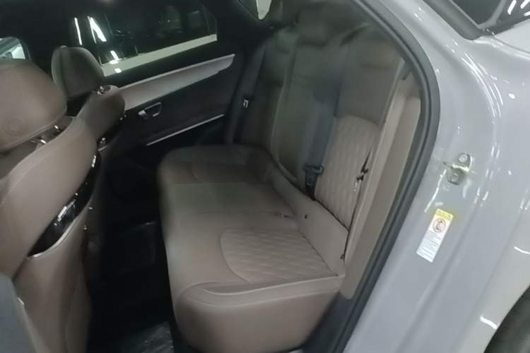 Used BYD Han  Left Rear Seat