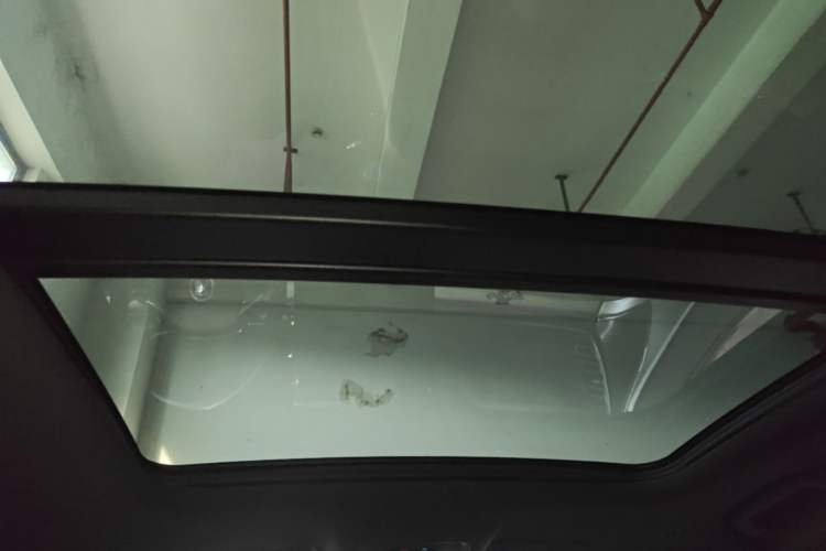 Used BYD Han  Headliner