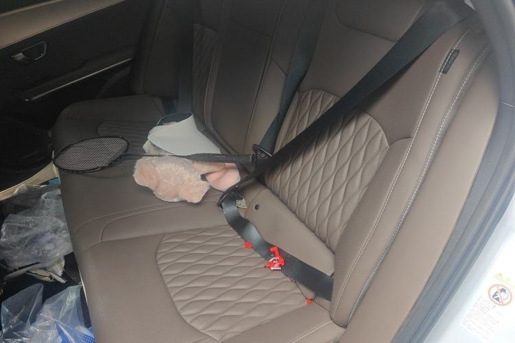 Used BYD Han 2025 DM-i Smart Drive 125KM Prestige Model Left Rear Seat