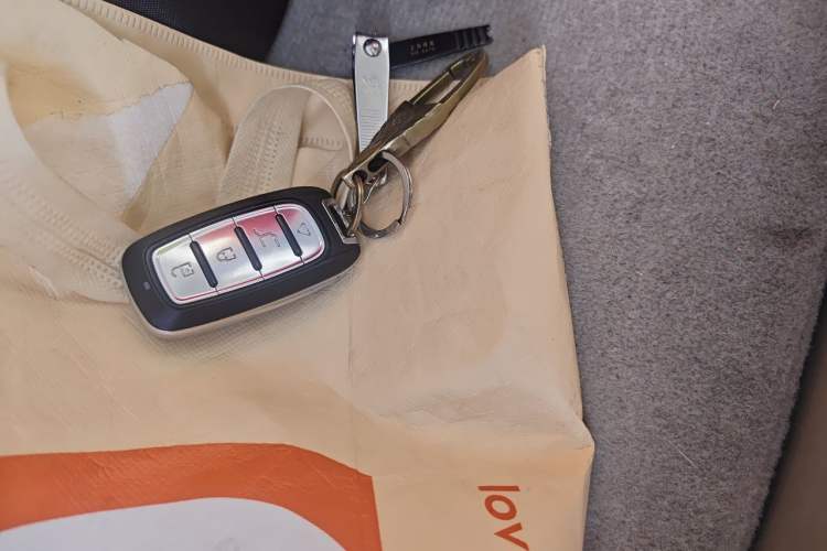 Used BYD M6 2015 2.4L Automatic Prestige Edition Vehicle Key