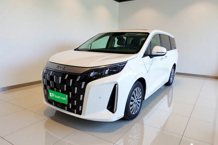 BYD M9 2025 1060 Navigation Edition