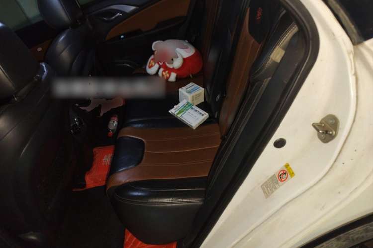 Used BYD Qin 2015 1.5T Dual-Crown Flagship Plus Edition Left Rear Seat
