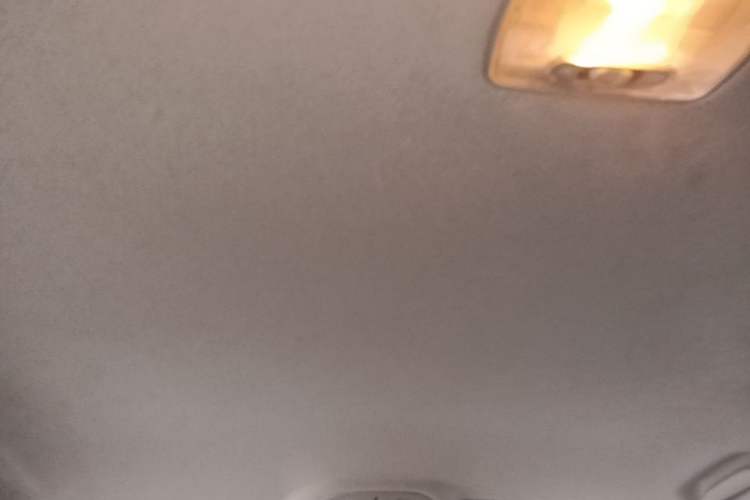 Used BYD Qin 2019 1.5L Automatic Luxury Model Headliner