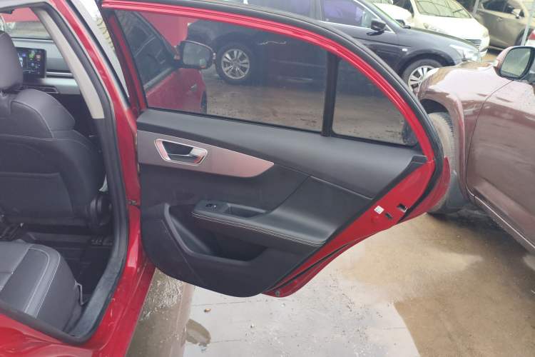 Used BYD Qin 2019 1.5L Automatic Luxury Model Right Rear Door Interior