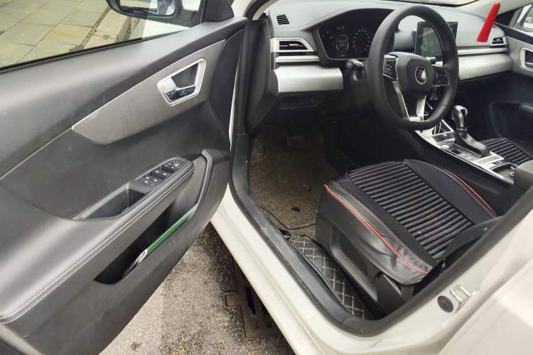Used BYD Qin 2019 1.5L Automatic Luxury Model Driver Seat