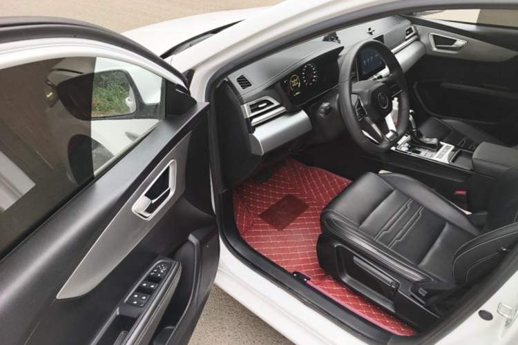 Used BYD Qin 2019 1.5L Automatic Luxury Model Driver Seat
