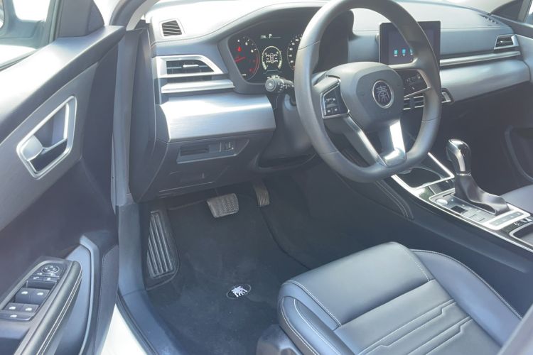 Used BYD Qin 2019 1.5L Automatic Luxury Model Driver Seat