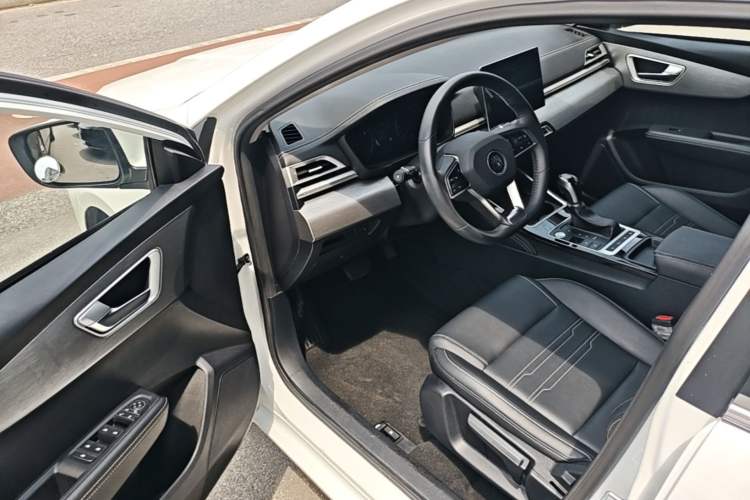 Used BYD Qin 2019 1.5L Automatic Prestige Model Driver Seat