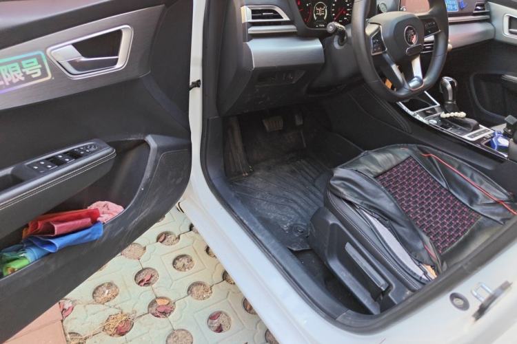 Used BYD Qin 2019 1.5L Automatic Luxury Model Driver Seat