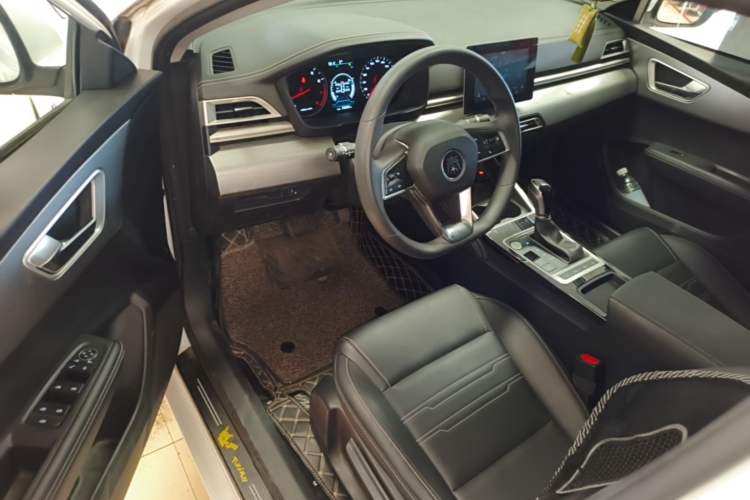 Used BYD Qin 2019 1.5L Automatic Luxury Model Driver Seat