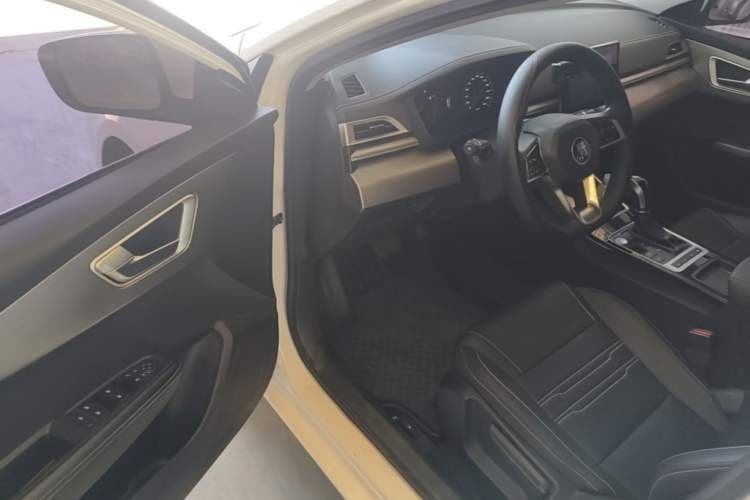 Used BYD Qin 2019 1.5L Automatic Luxury Model Driver Seat