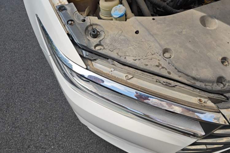 Used BYD Qin 2019 1.5L Manual Luxury Version Exterior 6