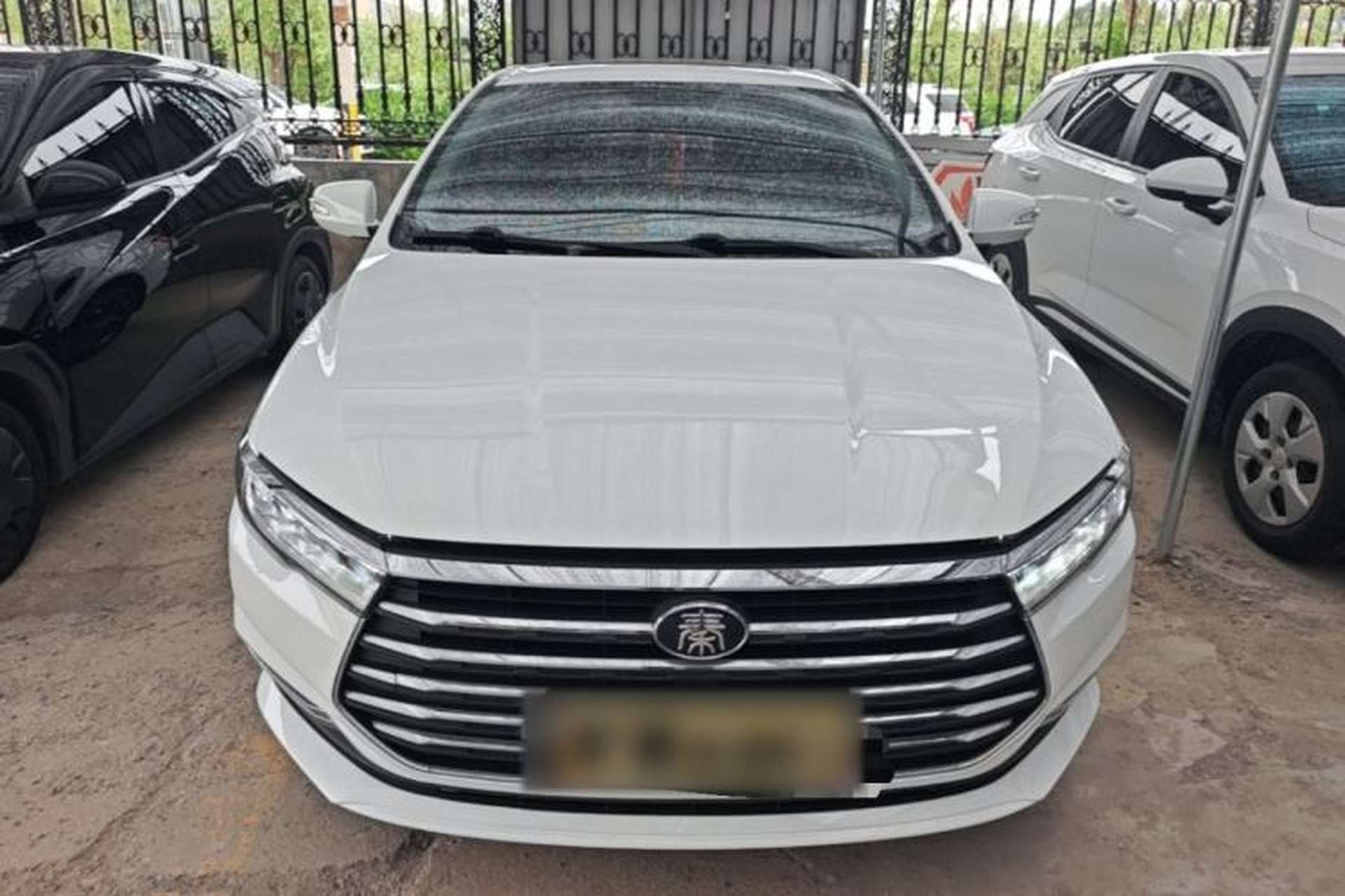 Used BYD Qin 2019 1.5L Automatic Prestige Model Front
