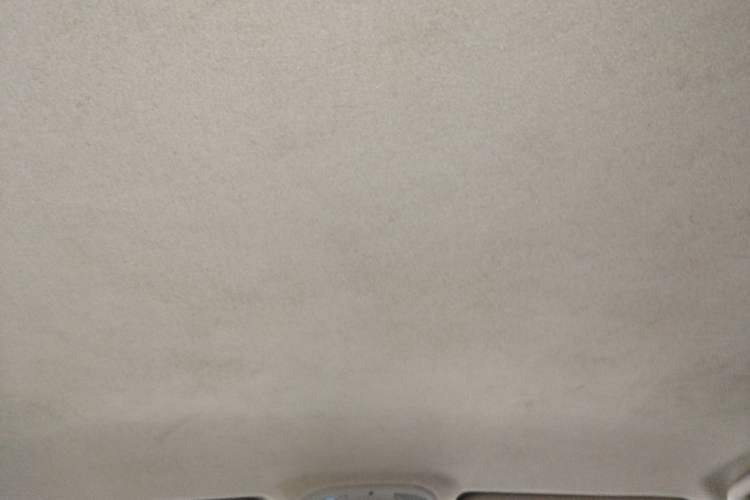 Used BYD Qin 2019 1.5L Automatic Luxury Model Headliner