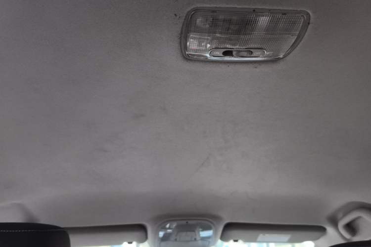 Used BYD Qin 2019 1.5L Automatic Luxury Model Headliner